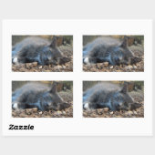 Sleepy Shady Cat Stickers (Blatt)