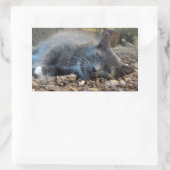 Sleepy Shady Cat Stickers (Tasche)