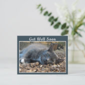 Sleepy Shady Cat wird bald gut Postkarte (Stehend Vorderseite)