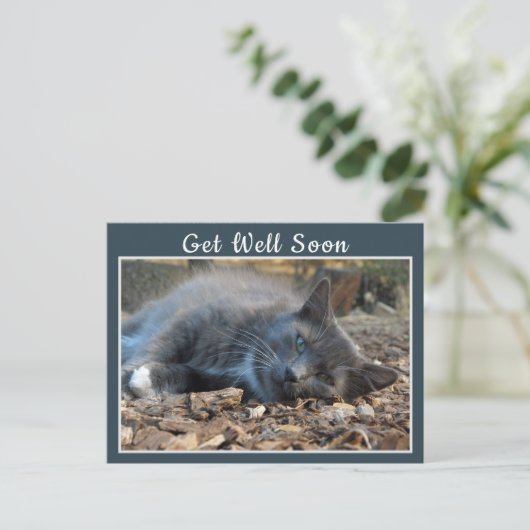 Sleepy Shady Cat wird bald gut Postkarte (Stehend Vorderseite)