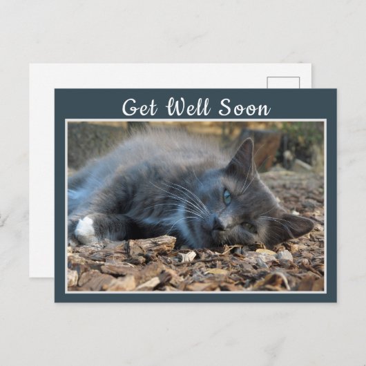 Sleepy Shady Cat wird bald gut Postkarte (Vorne/Hinten)