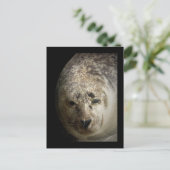 Sleepy Siegel Postkarte (Stehend Vorderseite)