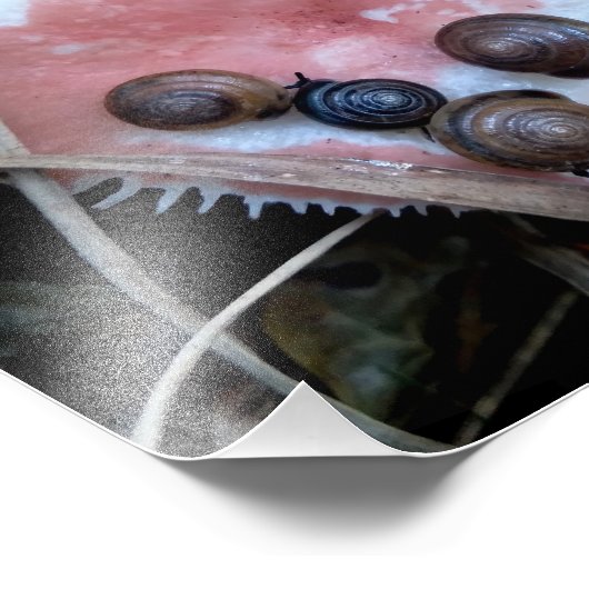 Sleepy Snails Fotodruck (Ecke)