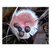 Sleepy Snails Fotodruck (Vorne)