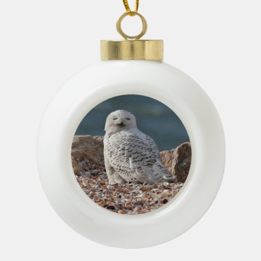 Sleepy Snowy Owl Keramik Kugel-Ornament (Vorderseite)