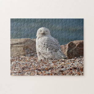 Sleepy Snowy Owl Puzzle