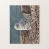 Sleepy Snowy Owl Puzzle (Vertikal)