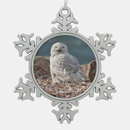 Sleepy Snowy Owl Schneeflocken Zinn-Ornament (Vorderseite)