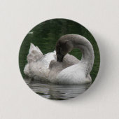 Sleepy Swan Button (Vorderseite)