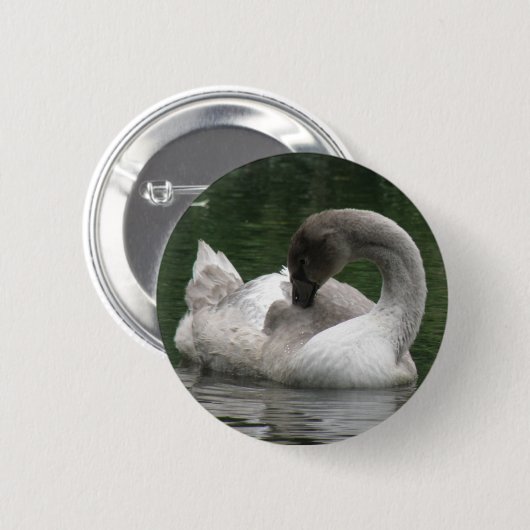 Sleepy Swan Button (Vorne & Hinten)