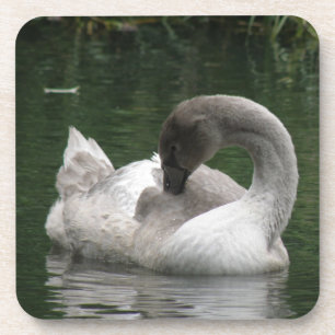 Sleepy Swan Cork Untersetzer