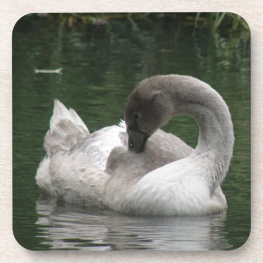 Sleepy Swan Cork Untersetzer (Vorderseite)