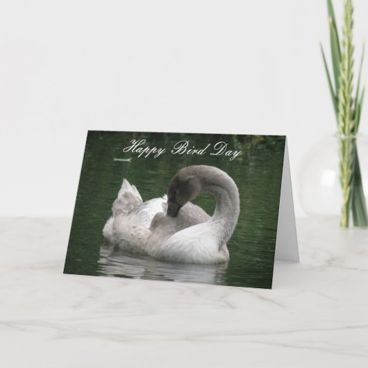 Sleepy Swan Custom Birthday Card Karte (Vorderseite)