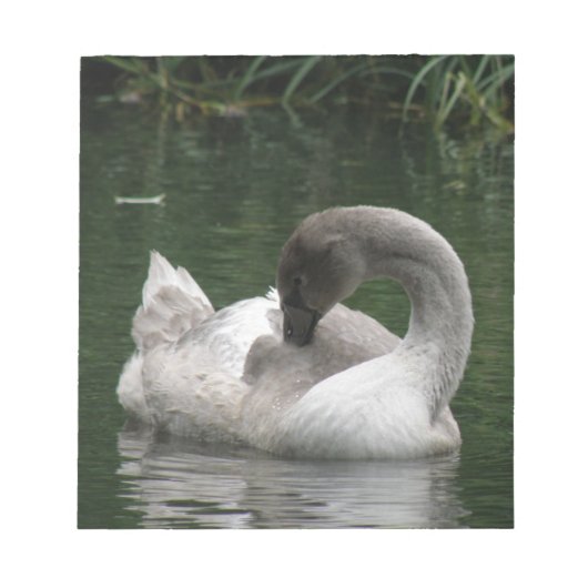 Sleepy Swan Notepad Notizblock (Vorderseite)
