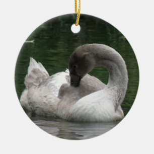 Sleepy Swan Ornament