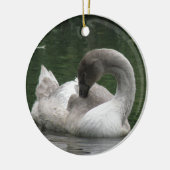 Sleepy Swan Ornament (Links)