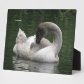 Sleepy Swan Plaque Fotoplatte (Seite)