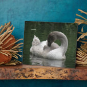 Sleepy Swan Plaque Fotoplatte (Seite)