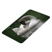 Sleepy Swan Premium Magnet (Linke Seite)