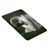 Sleepy Swan Premium Magnet (Rechte Seite)