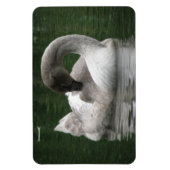 Sleepy Swan Premium Magnet (Vertikal)