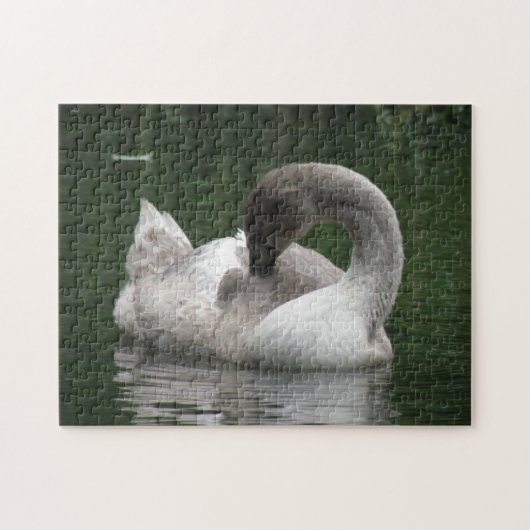 Sleepy Swan Puzzle (Horizontal)