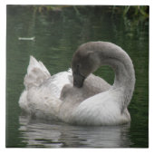 Sleepy Swan Tile Fliese (Vorderseite)