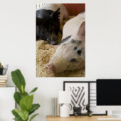 Sleepy Swine Poster (Heimbüro)