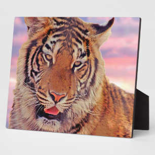 Sleepy Tiger - Fotoplatte