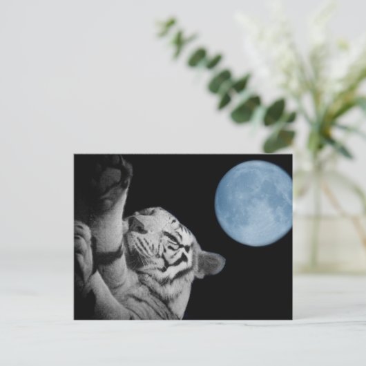 Sleepy Tiger Postkarte (Stehend Vorderseite)