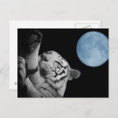 Sleepy Tiger Postkarte (Vorne/Hinten)