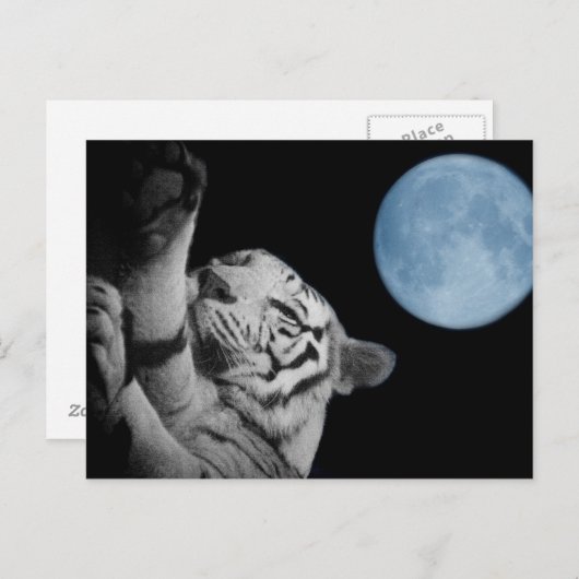 Sleepy Tiger Postkarte (Vorne/Hinten)