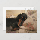 Sleepy Time Postcard Postkarte (Vorne/Hinten)