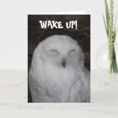 Sleepy White Owl Foto Funny Birthday Card Karte (Vorderseite)