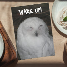 Sleepy White Owl Foto Funny Birthday Card