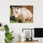 Sleepy Wombat Poster (Heimbüro)