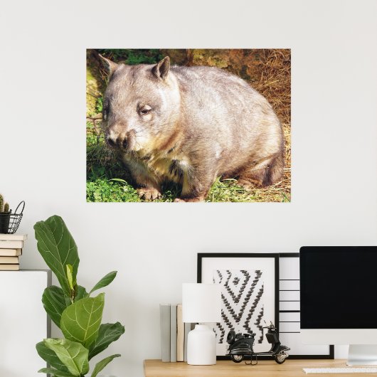 Sleepy Wombat Poster (Heimbüro)