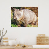 Sleepy Wombat Poster (Küche)