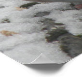 Sleepy Wood Taube Print Poster (Ecke)