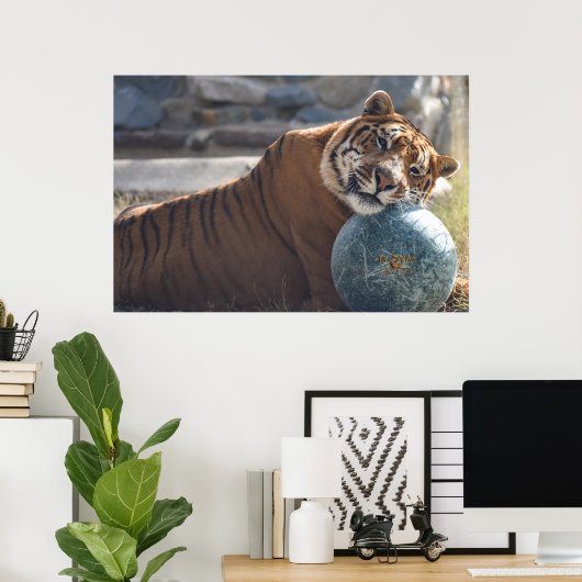 Sleepy Zachariah Poster