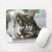 Sleepy Zorro Kitty Mouse Pad Mousepad (Mit Mouse)