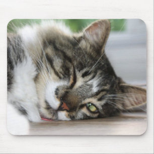 Sleepy Zorro Kitty Mouse Pad Mousepad