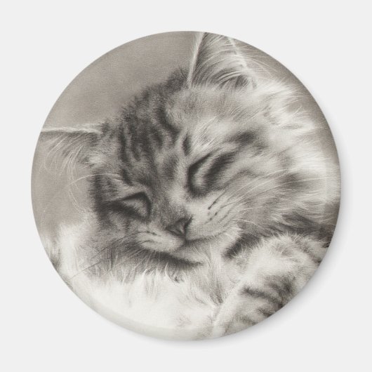 Sleepyhead Maine Coon Magnet (Vorne)