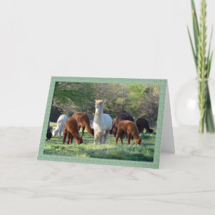 Sleigh Belle Christmas Card Feiertagskarte