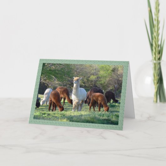 Sleigh Belle Christmas Card Feiertagskarte (Vorderseite)