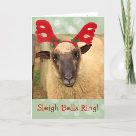 Sleigh Bells Sheep Feiertagskarte