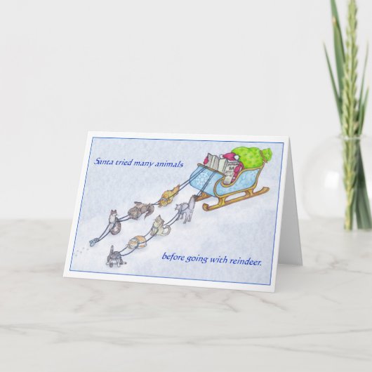 Sleigh Cats Feiertagskarte (Vorderseite)