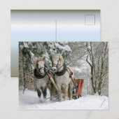 Sleigh Ride im Snowy Forest Postkarte (Vorne/Hinten)