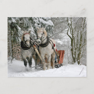 Sleigh Ride im Snowy Forest Postkarte