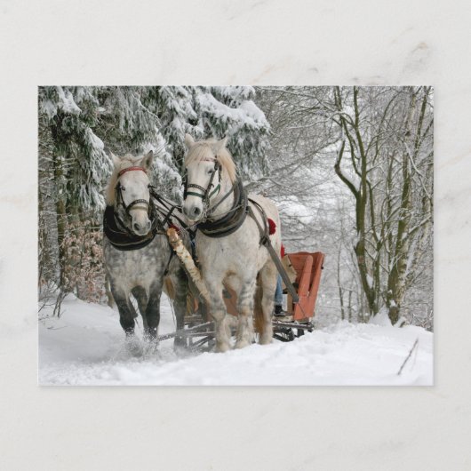 Sleigh Ride im Snowy Forest Postkarte (Vorderseite)